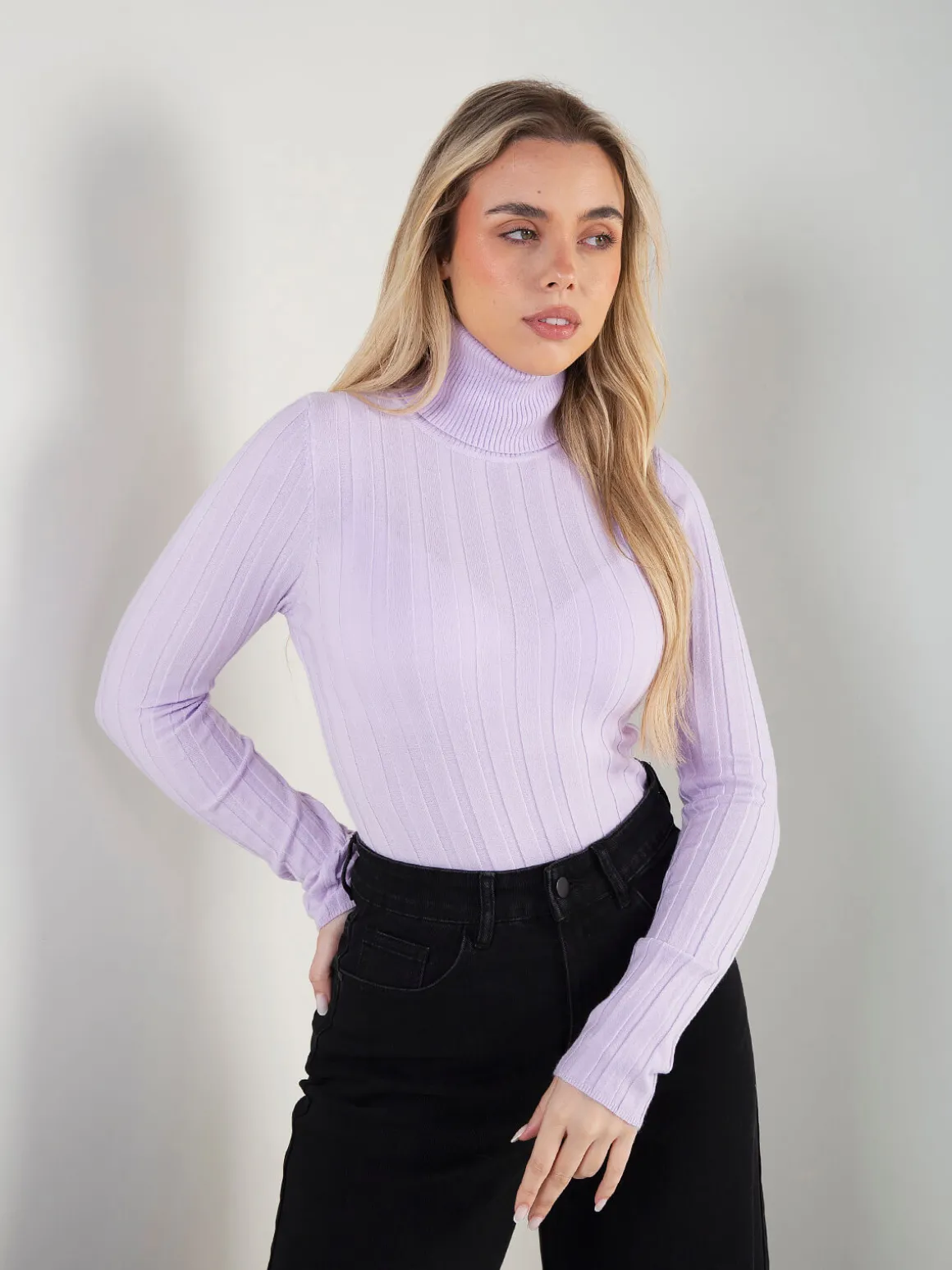 Camisola malha fina canelada gola alta